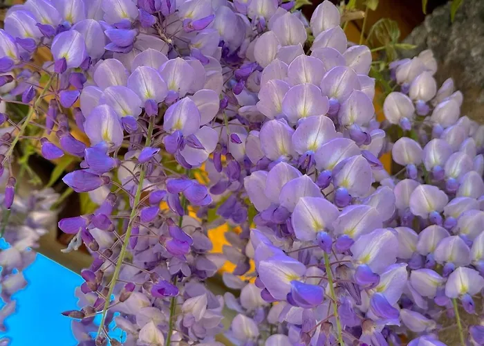 Casbah, Nel Cuore Di Menaggio