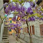 Casbah, Nel Cuore Di Lägenhet *